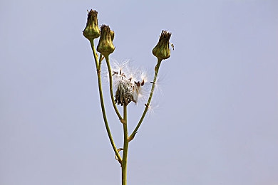 男生女生一差差APP下载:极速协奏,差异引擎驱动的双人竞速艺术-5
