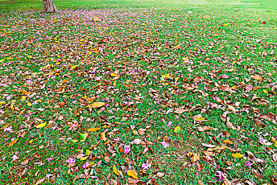 按摩男让我高潮做了3次正常吗：极速配送触发三重奏，沉浸式竞速革新感官体验