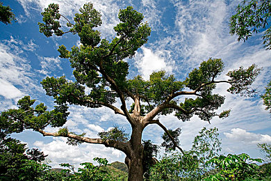 富婆按摩高潮：《极品飞车热度》终极攻略，顶级豪车获取技巧全解析