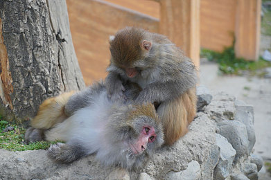 夜里禁用的100款软件：赛博都市暗夜狂飙今日上线，百种非法改装引爆午夜生死竞速-2