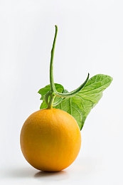 中国老太太的毛耳耳一:静驶时光,花棉袄与电动车的漫游诗篇-3