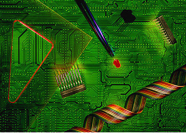 爱情岛VIP:地平线5玩家社群新潮流,浪漫社交驾驶体验席卷墨西哥开放世界-2