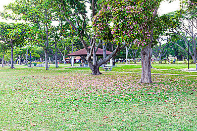 三上悠亚作品封面：虚拟偶像联动赛车，霓虹涂装点燃竞速新体验-4