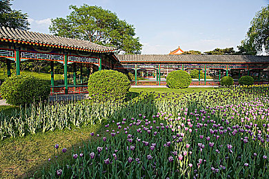 阿里小宝卡19元套餐详细：虚拟竞速新选择，低延迟网络助力漂移零卡顿