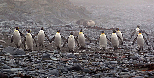 女高中掀裙打屁股无内裤：《极速惩罚：街头狂飙》今日上线，争议性惩罚机制重塑赛车游戏心理战-4