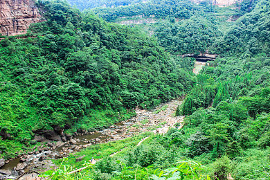 国产黄色av网站：极速驾驭中国制造，真实赛道体验革新之旅