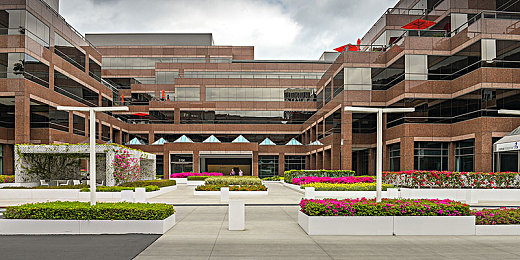 爱情岛  AV永久入口：心跳竞速，岛屿往事与永不褪色的引擎传说