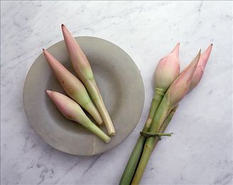 美女脱衣服aqq:极速改装与浪漫旅程,赛车手与机械师的双重挑战-4