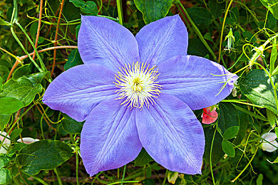 男生和女生一起插插插app大全下载：双人协同驾驶新体验，极速赛道共赴默契之旅-4