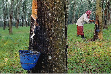 新九一黑料:《极速暗影第九区》正式发售,赛车融合黑客玩法引爆赛博竞速新潮流-2