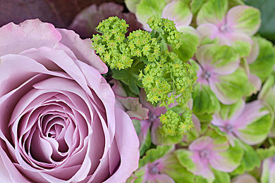 男生和女生打扑克差差差：策略竞速卡牌对决，多元思维制胜赛道-3