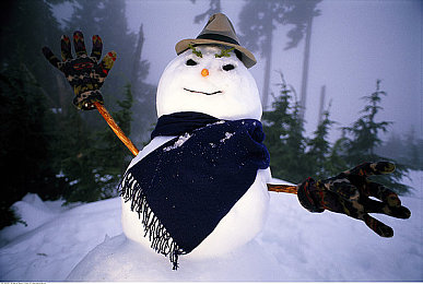 69乐园会员登录成功日志：极限竞速地平线5，墨西哥驾驶乐园终极攻略与漂移秘籍-2