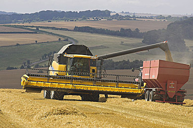 两人激打扑克：极速狂飙，牌局对决，策略与速度的终极融合