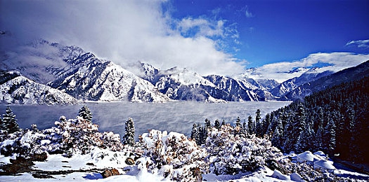 一小孩和妈妈摘萝卜:《田园物语:家庭收获季》今日上线,亲子驾驶农耕新体验开启温馨协作-4