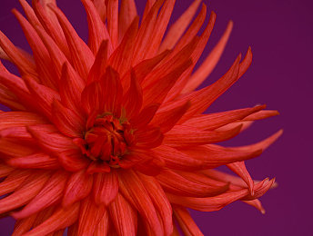 火影忍者h版18：查克拉引擎轰鸣，动漫改编竞速新作今日全平台极速对决-3