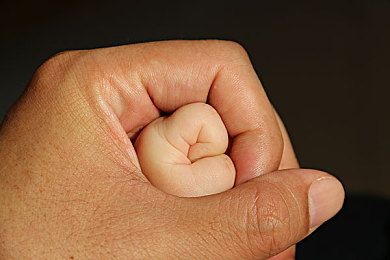 大菠萝官方官网隐藏入口：暗黑破坏神终极攻略揭秘，赛季高效速刷与深度构建指南-4