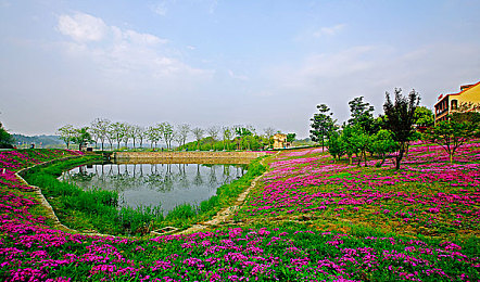 99r热：挖掘隐藏宝藏，低价赛车逆袭顶级赛事攻略-3