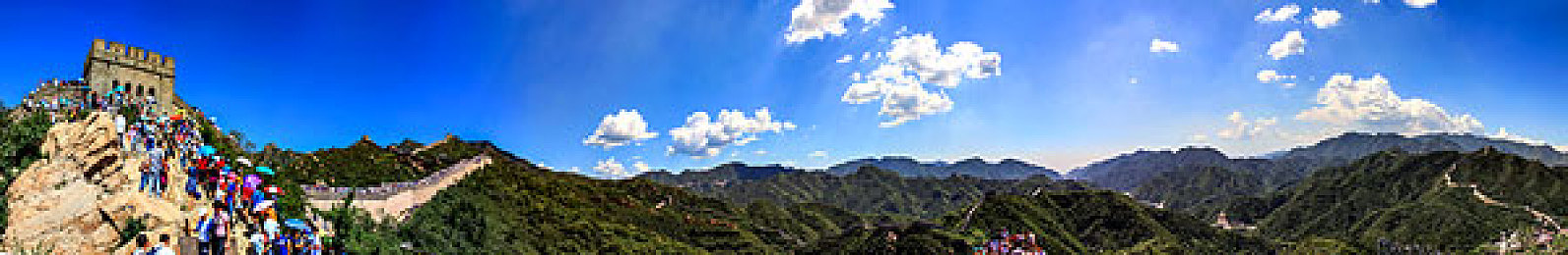 草莓战长统计：极速收割者，赛道上的果核战略竞速-2