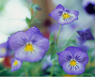 十大禁止安装应用入口在哪里：夜之城高危数据节点全解析，非法插件获取攻略与风险预警-3