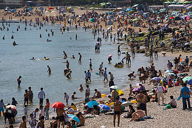 小时候农村树林日B：《越野征途》正式上线，沉浸式乡村驾驶模拟唤醒童年探险记忆-4