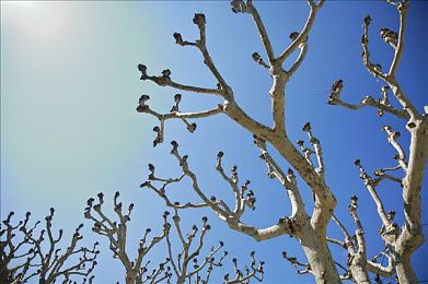 我被按摩师做了三次爱：竞速与情感交织，驾驶疗愈之旅抚平内心创伤