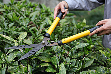 【国产】果冻传媒国产：Q弹赛车颠覆物理，极速拍摄引爆视觉盛宴-5