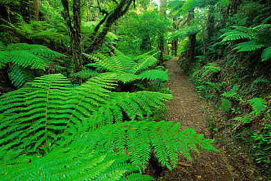 黄色软件免费下载安装：金色荣耀之旅，解锁地平线五隐藏涂装与冠军车辆-3