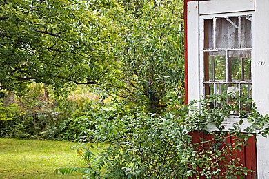 国产成人无码AV：自主研发龙引擎打造，极速地平线华夏风云带来无删减视觉与沉浸音效新突破