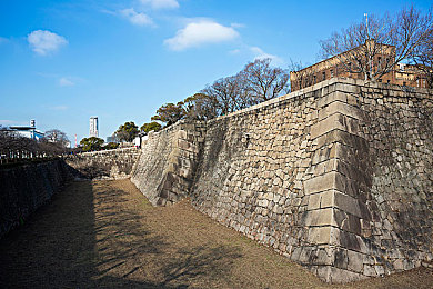 岛国一区：霓虹夜幕下的极速传说，街头车神争霸风云录