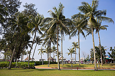 男生插女生的应用：双核协同，极速羁绊的竞速交响-4