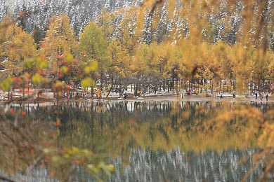 和猪做爱：荒诞驾驶模拟游戏，在挫败中寻找意义的哲学体验-3