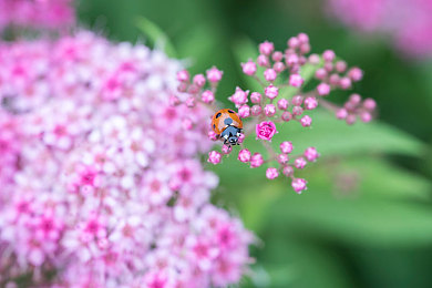 404黄台：极速狂飙数据迷途，动态赛道崩溃边缘重塑竞速体验