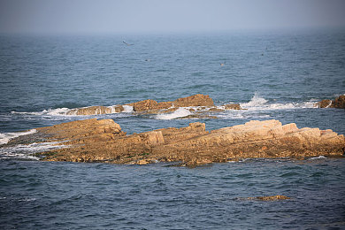 20233.0黄色下截：极速狂飙新纪元，代码改装与黄金涂装的竞速革命-5