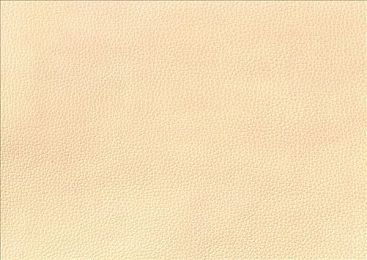 黄色软件最安全3.3.0:极速幻影新版上线,安全驾驶竟成赛道致胜新策略-4