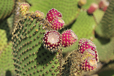 天美麻花星空有限公司电视剧：极速幻影星途上线，驾驶未来，竞逐剧情新纪元-2