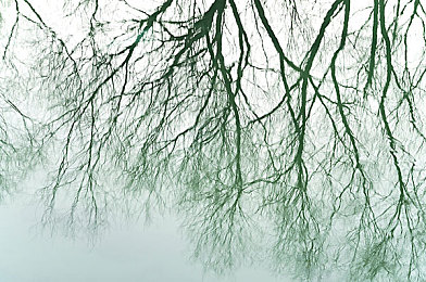 大象ceo影视传媒ceo新网：左手执掌商业帝国，右手驾驭极速狂飙-3