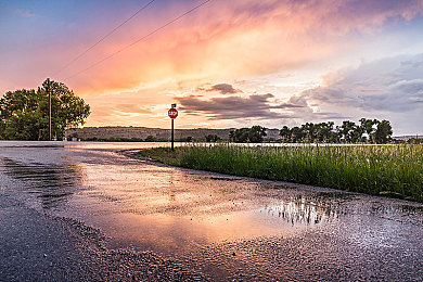 火辣辣福利视频导航：寒霜引擎驱动，极品飞车热力追踪上演猫鼠追逐狂飙盛宴-2