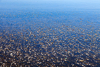 性一区二区三区四区：赛车性能分级全解析，新手到高手的进阶指南-2