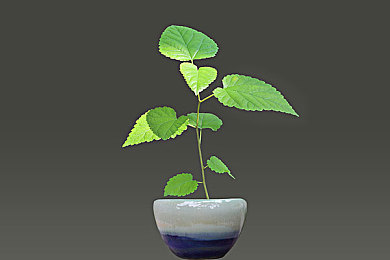 光身美女视频软件：霓虹都市狂飙，代码战场决胜未来竞速-3