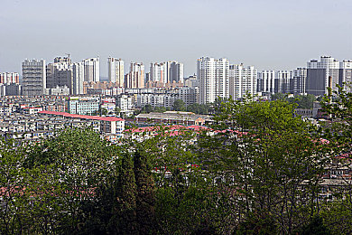 10个有效的实名认证:极速徽章,都市轨迹中淬炼的真实车手之路-1