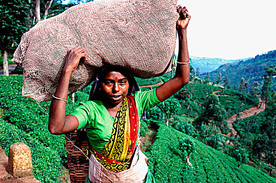 Oppo手机官方下载黄色软件：霓虹都市极速狂飙，开放世界竞速新体验-3