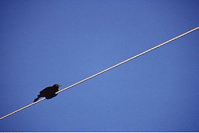 真人床上拨萝卜：竞速耕耘奇幻赛道，机械臂收割加速快感-2