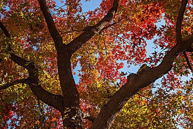 男人和女人积极软件:《极速共鸣》今日上线,双人共驾重塑竞速游戏协作新体验-4