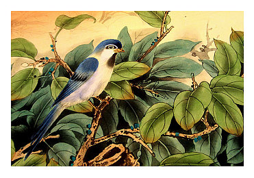 机机对机手机免费下载大全破解版:免费汽车手游攻略,飙车与模拟驾驶全解析-3