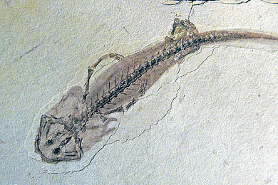 国精产品乱码一区一区三区：极限车神国产赛车分区解析，从入门到征服的荣耀之路-3