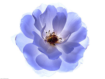 一区一区:征服地平线,分区制霸开放世界驾驶艺术-3