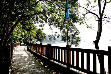 男同性恋：引擎轰鸣中的情感羁绊，极速同航重塑竞速游戏叙事边界