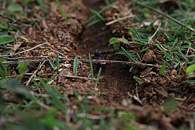 东京热app下载免费:都市竞速新纪元开启,东京街头免费狂飙攻略全解析-4