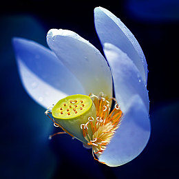 天美麻花传媒：极速叙事者，狂想竞速与传媒帝国交响诗-2