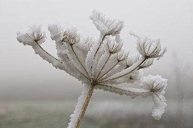 91麻豆天美精栋蜜桃传媒广告业务:虚拟巨头营销挑战,《传媒帝国》深度攻略今日揭晓-2